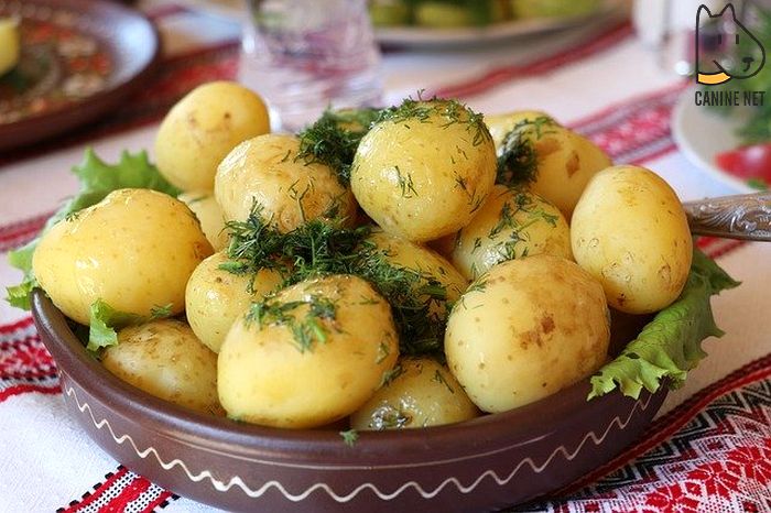 Potatoes