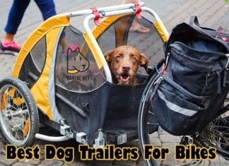 Best Dog Trailers For Bikes