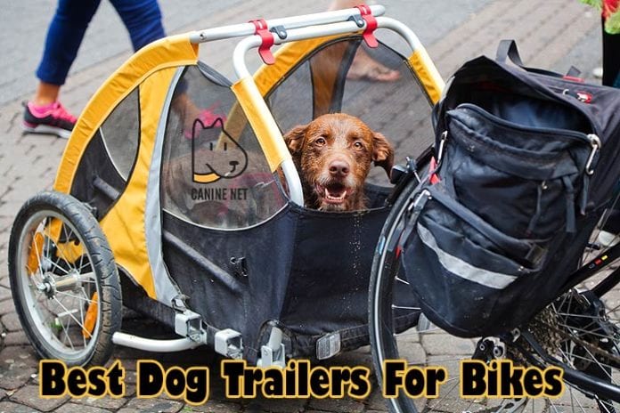 Best Dog Trailers For Bikes