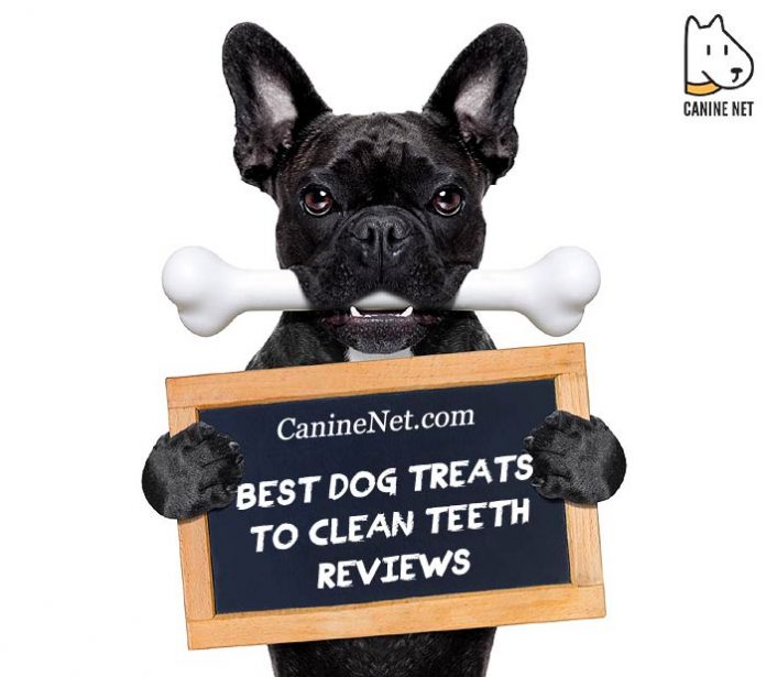 Best Dog Treats To Clean Teeth