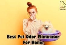 Best Pet Odor Eliminator For Home