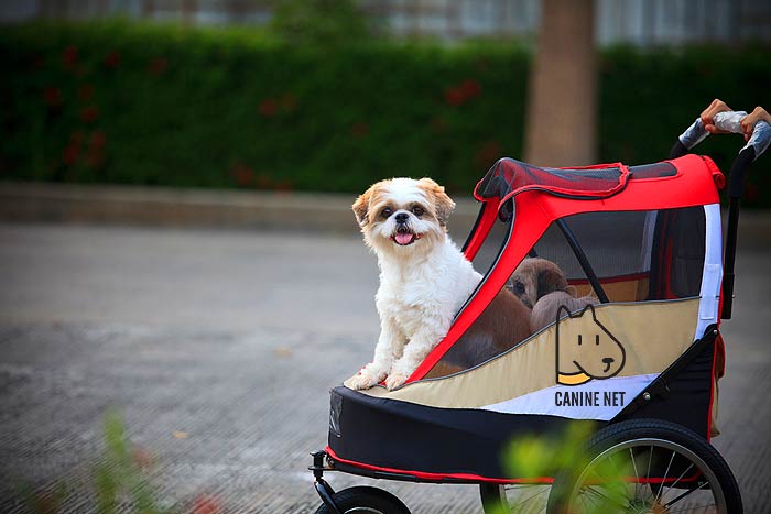 How Does The Dog Bike Trailer Work?