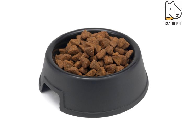 How To Keep Ants Out Of Pet Food?