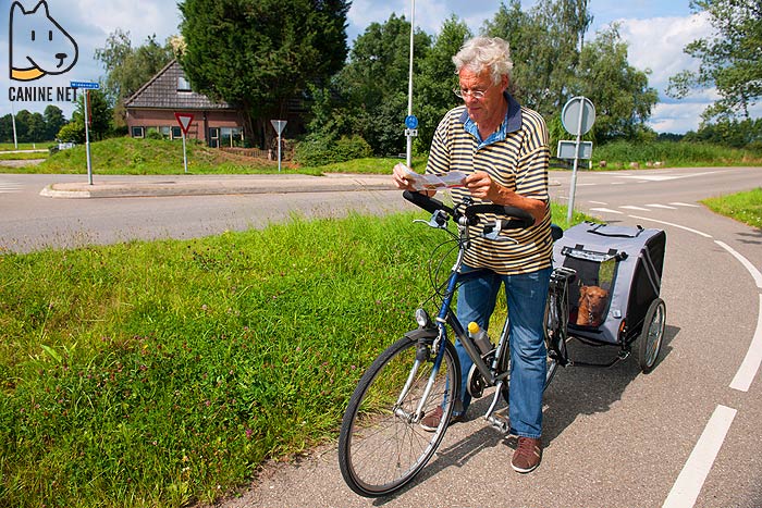 Is It Illegal To Ride A Bike With Your Dog?