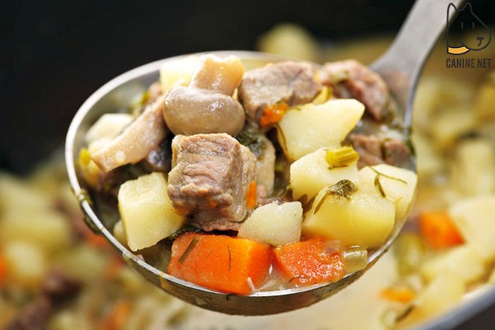 Beef Stew For Dogs