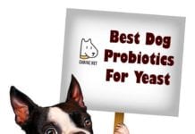 Best Dog Probiotics For Yeast