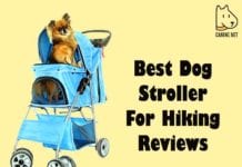 BEST Dog Stroller For Hiking