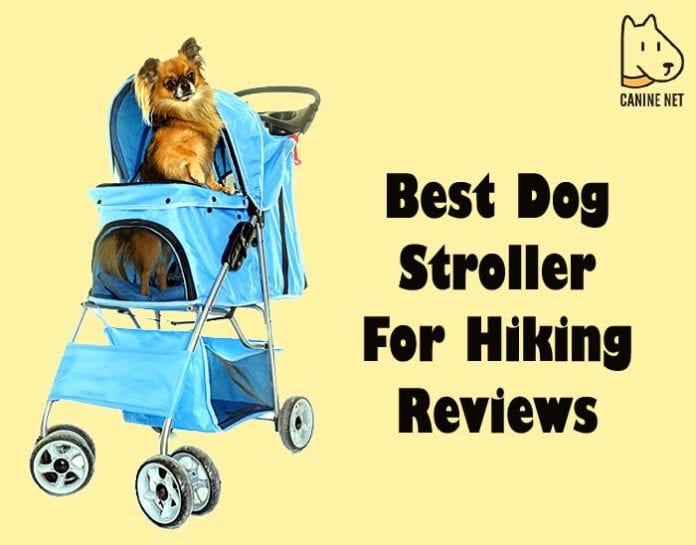 BEST Dog Stroller For Hiking