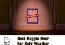 Best Doggie Door For Cold Weather