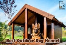 Best Outdoor Dog Kennel For Large Dogs