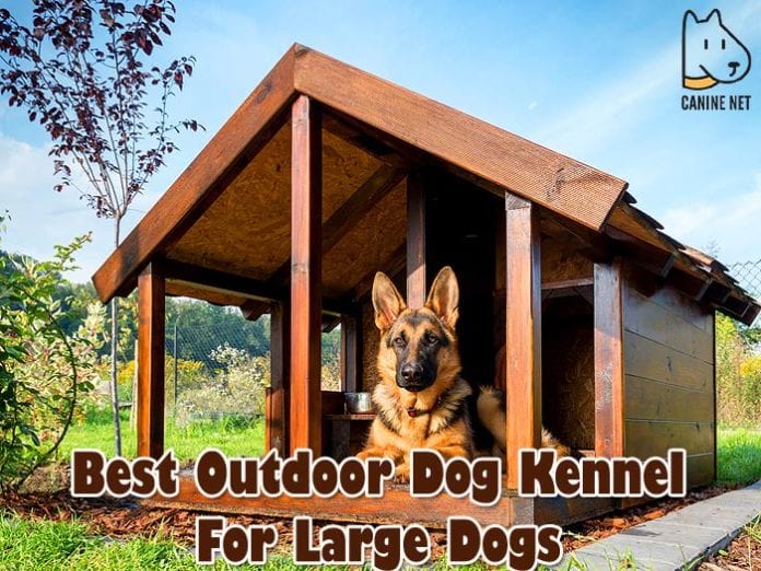 Best Outdoor Dog Kennel For Large Dogs