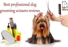 Best Professional Dog Grooming Scissors Reviews