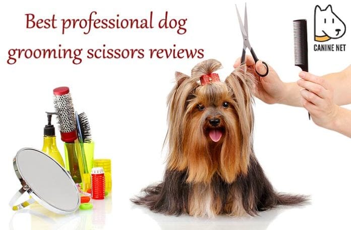 Best Professional Dog Grooming Scissors Reviews