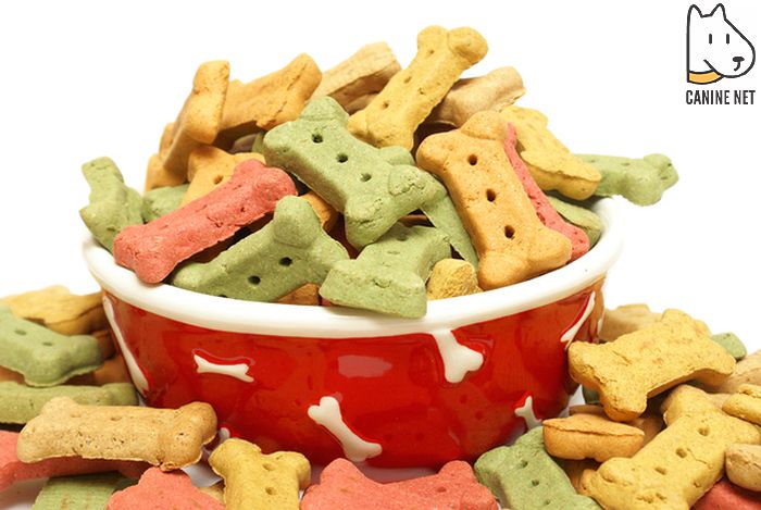 Homemade Treats For Dogs With IBD