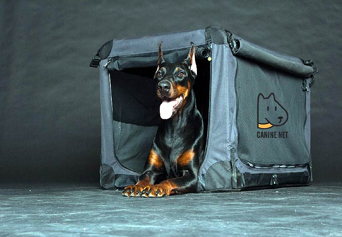 How Big Of An Outdoor Dog Kennel Do I Need?