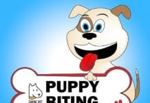 How to stop puppy biting kids?