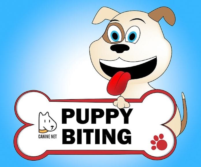 How to stop puppy biting kids?