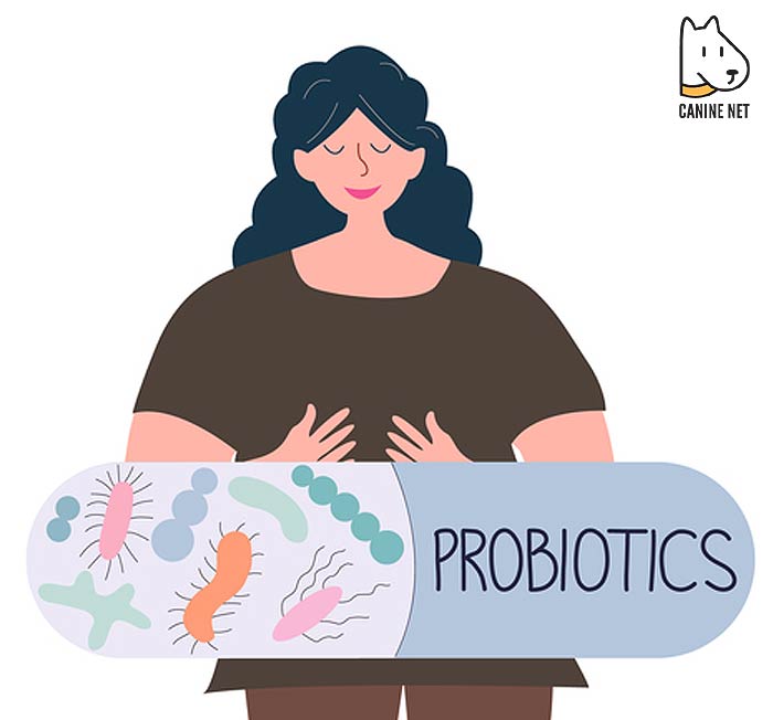 Human Probiotics