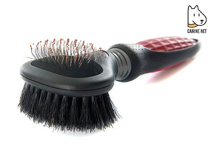 What Kind Of Brush Do Huskies Need?