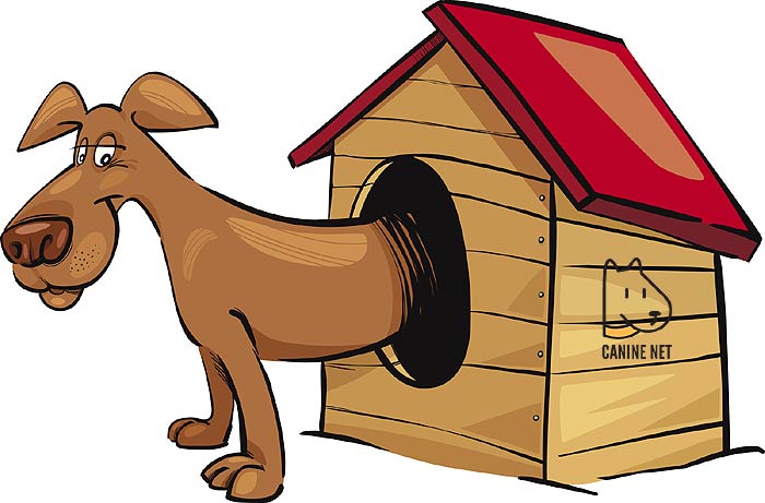 Why Owners Use An Outdoor Dog Kennel?